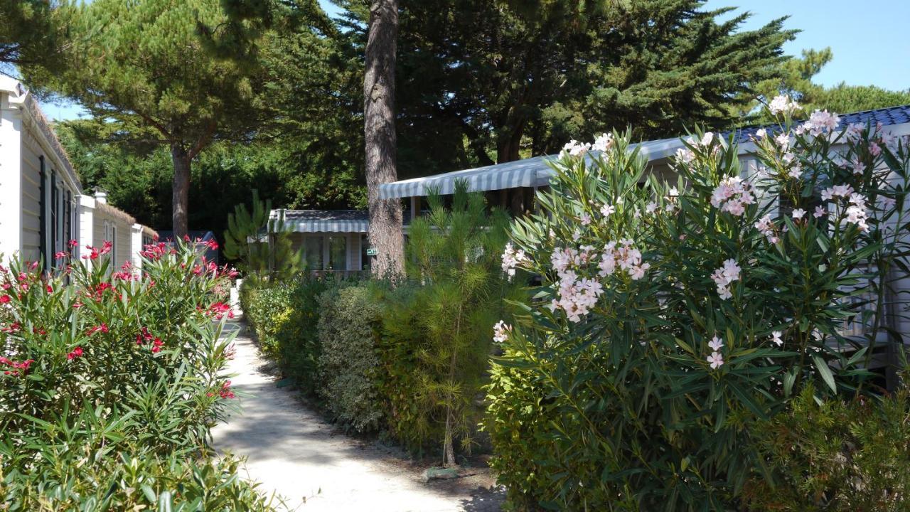 Camping Le Suroit Le Bois-Plage-en-Re Luaran gambar