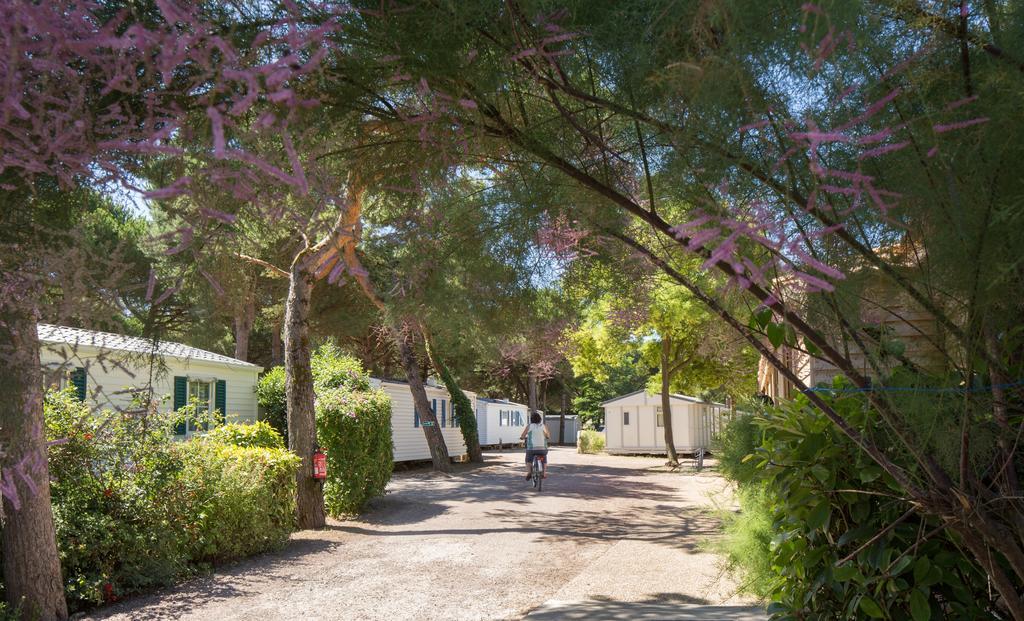 Camping Le Suroit Le Bois-Plage-en-Re Luaran gambar